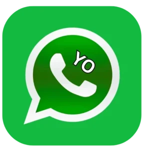 YOWhatsApp APK SIte identity